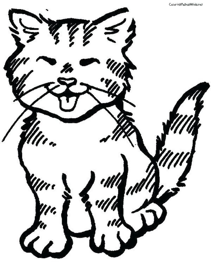 Cat Kitten Coloring Pages