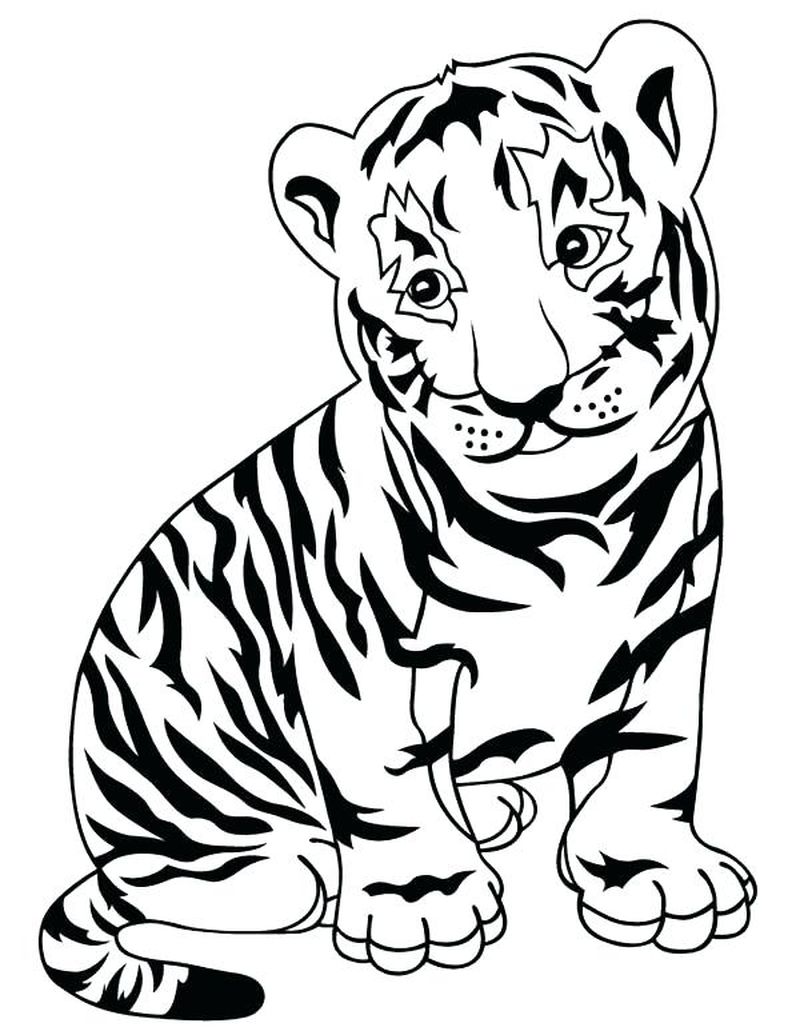 Circus Tiger Coloring Pages