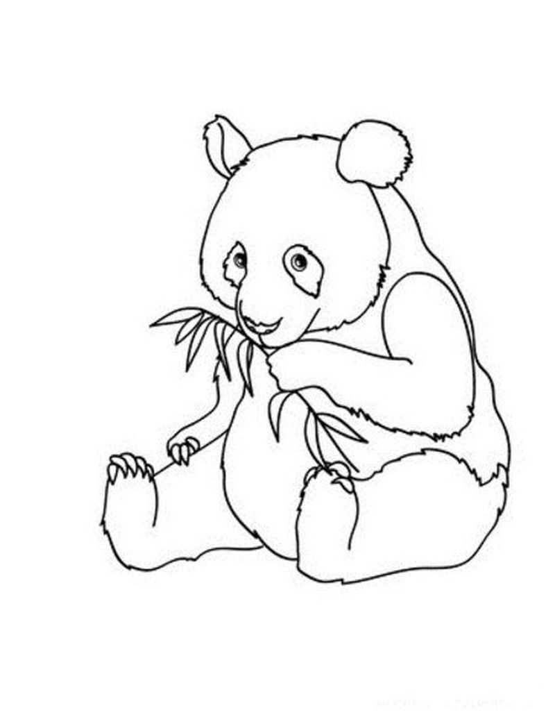 Coloring Pages Of A Panda