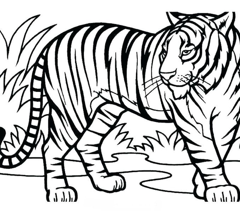 Daniel Tiger Characters Coloring Pages