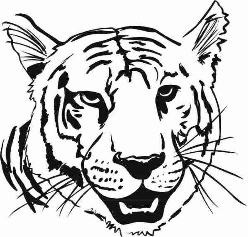 Detroit Tigers Coloring Pages