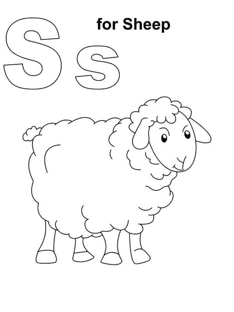 Download Free Printable Coloring Pages Of Sheep