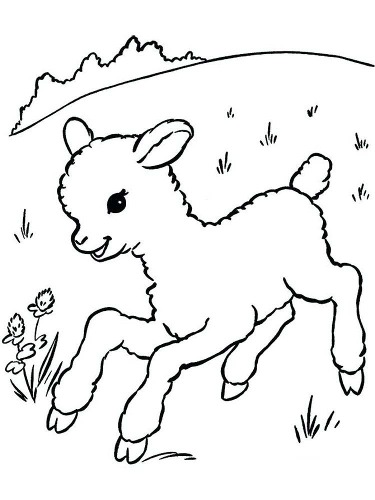 Download Free Sheep Coloring Pages For Toddlers