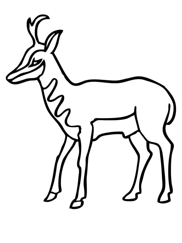 Free Impala coloring pages printable