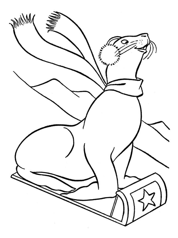 Free Printable Seal Coloring Pages Pict