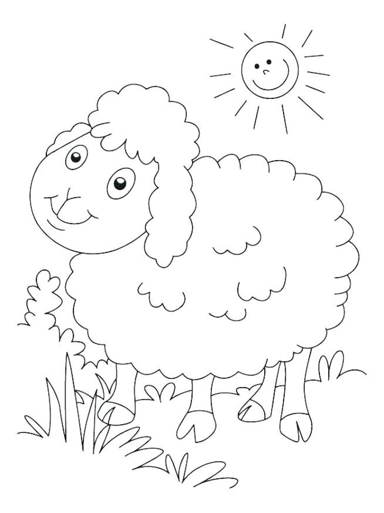 Free Sheep Coloring Pages Free Printable