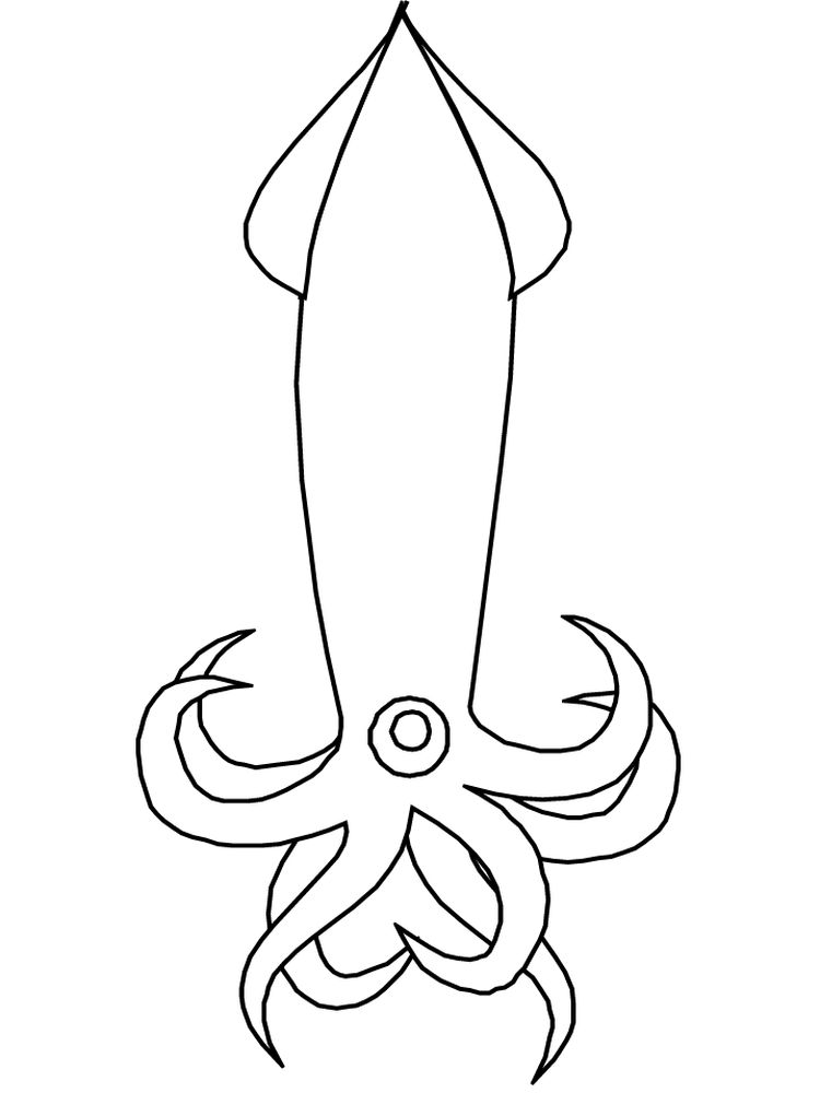 Free Squid Coloring Pages Printable