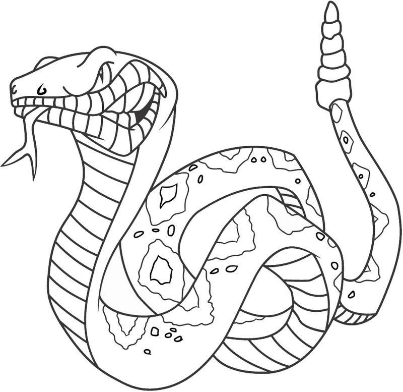 Garden Snake Coloring Pages