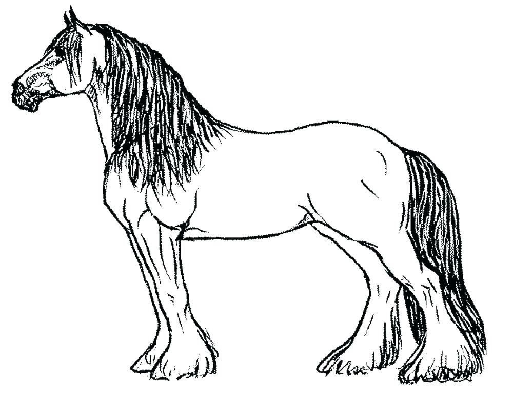 Horse Coloring Page Free Printable