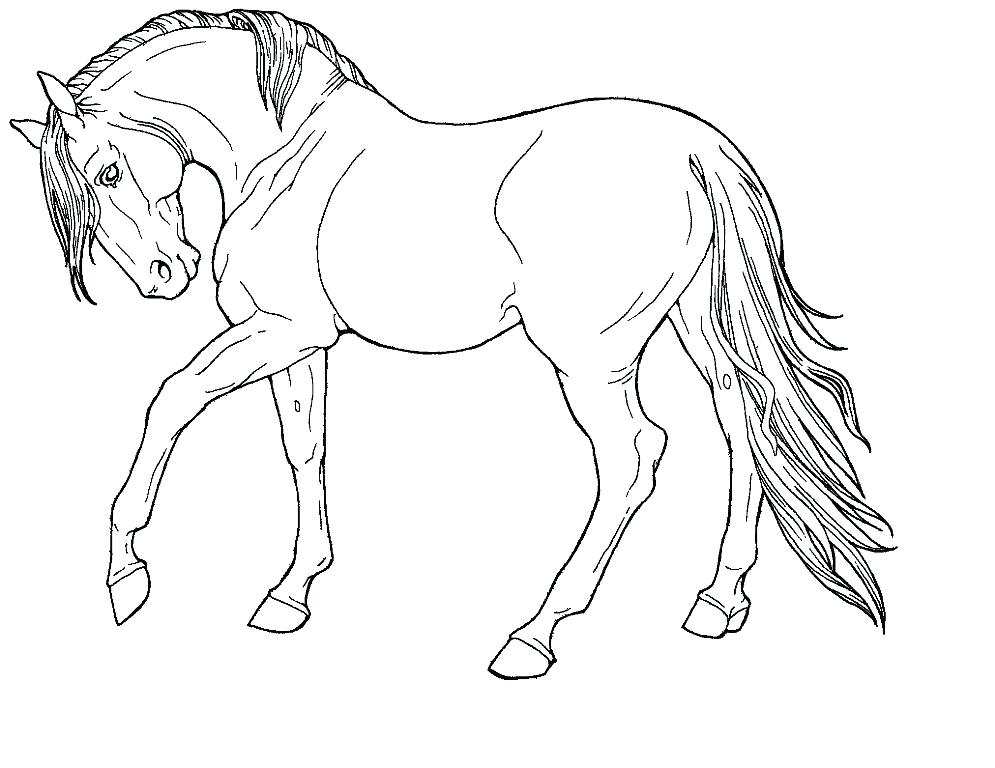 Horse Coloring Page Printable