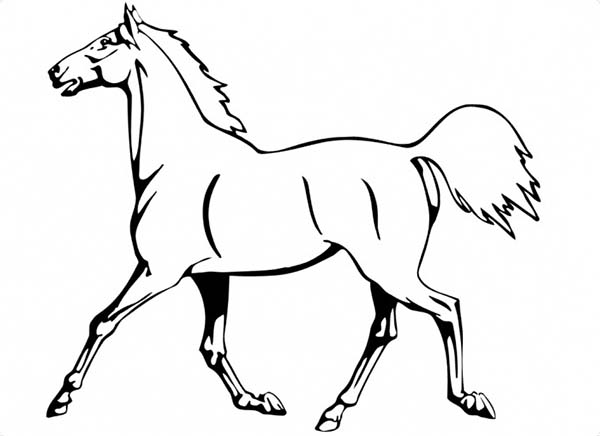 Horse Coloring Page