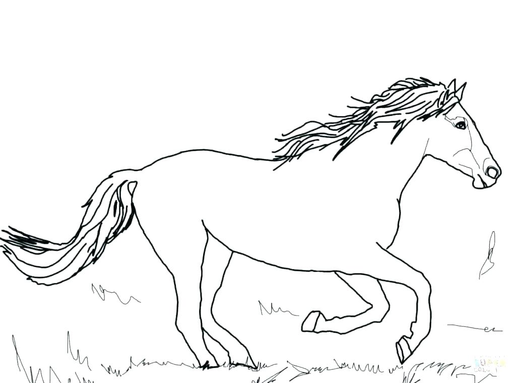 Horse Coloring Pages Spirit