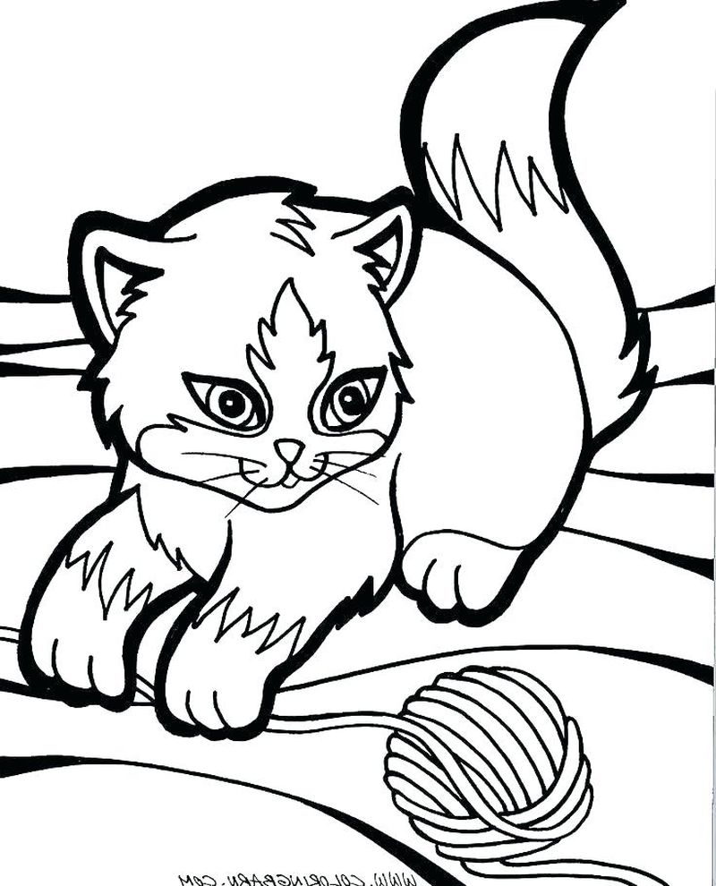 Kitten Coloring Pages Basket