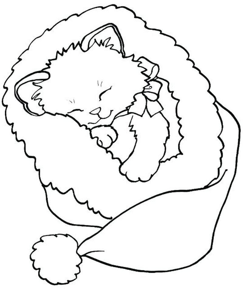 Kitten Coloring Pages For Kindergarten