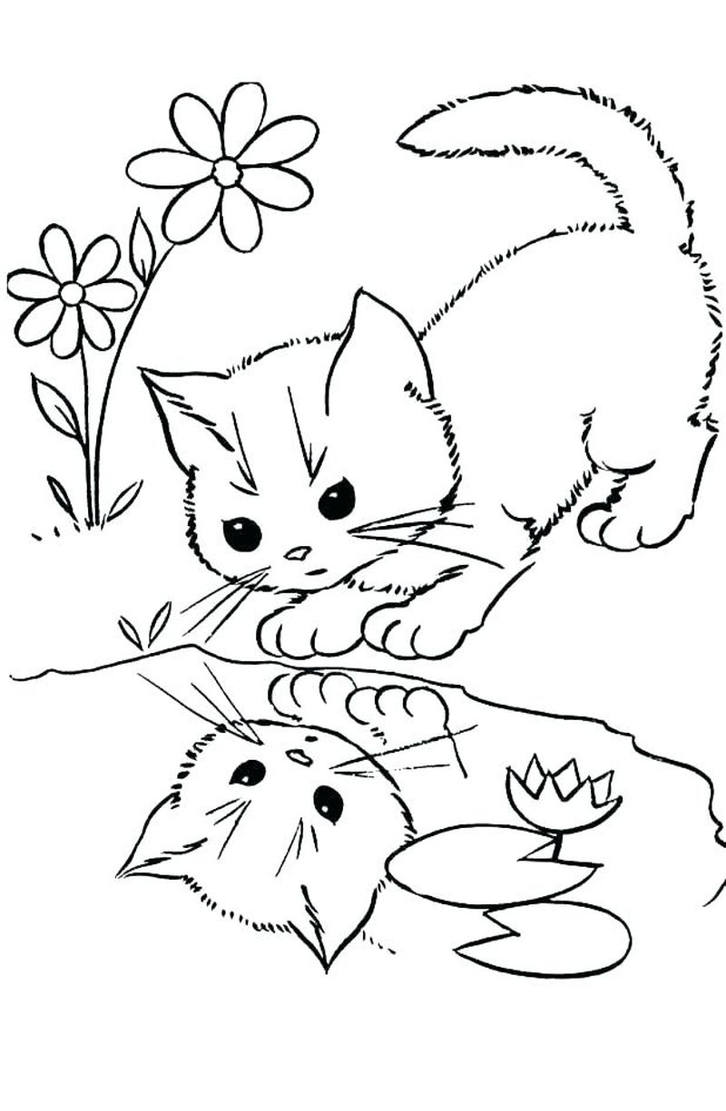 Kitten Coloring Pages For Preschoolers