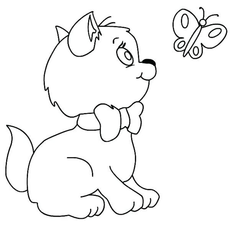 Kitten Coloring Pages Online