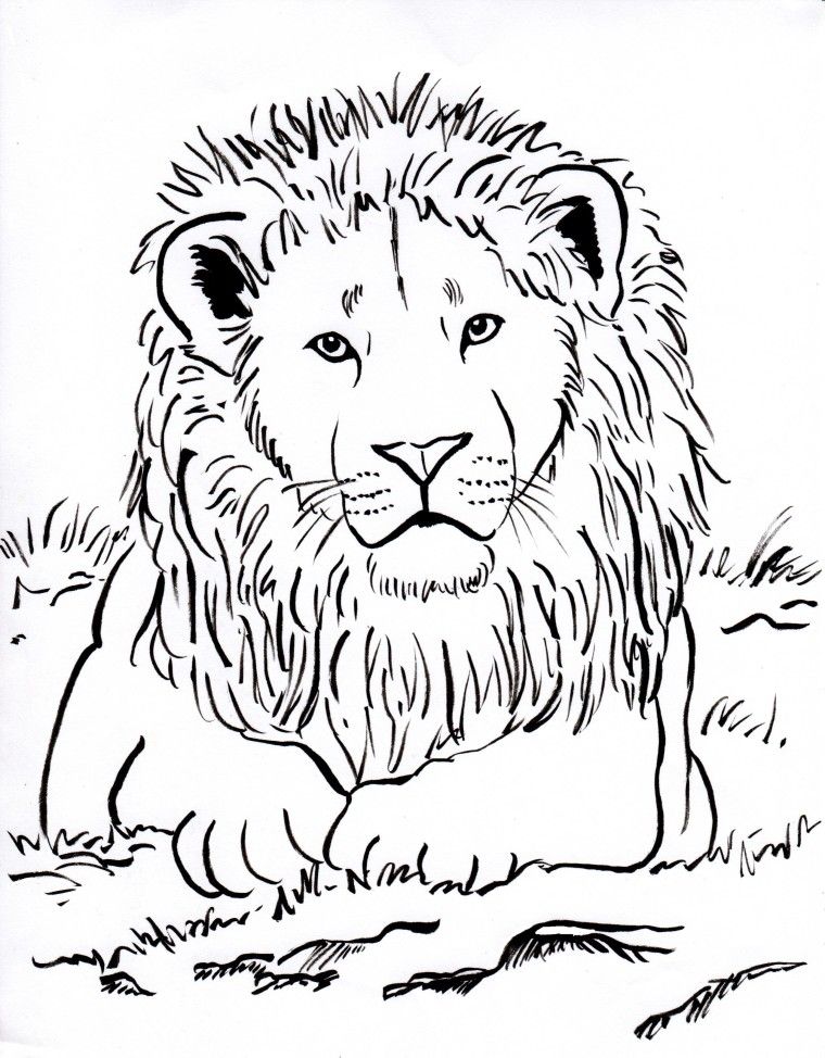 Lion Coloring Pages Cartoons