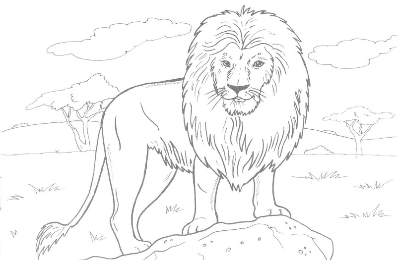 Lion Coloring Pages For Preschool