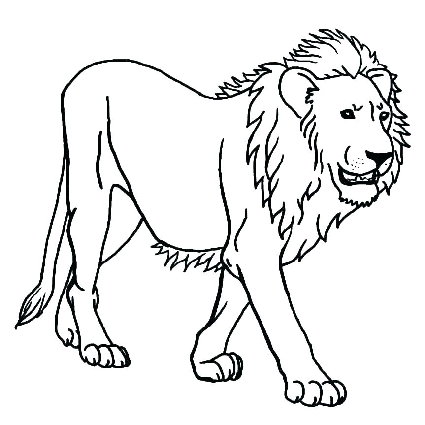 Lion Coloring Pages Free_