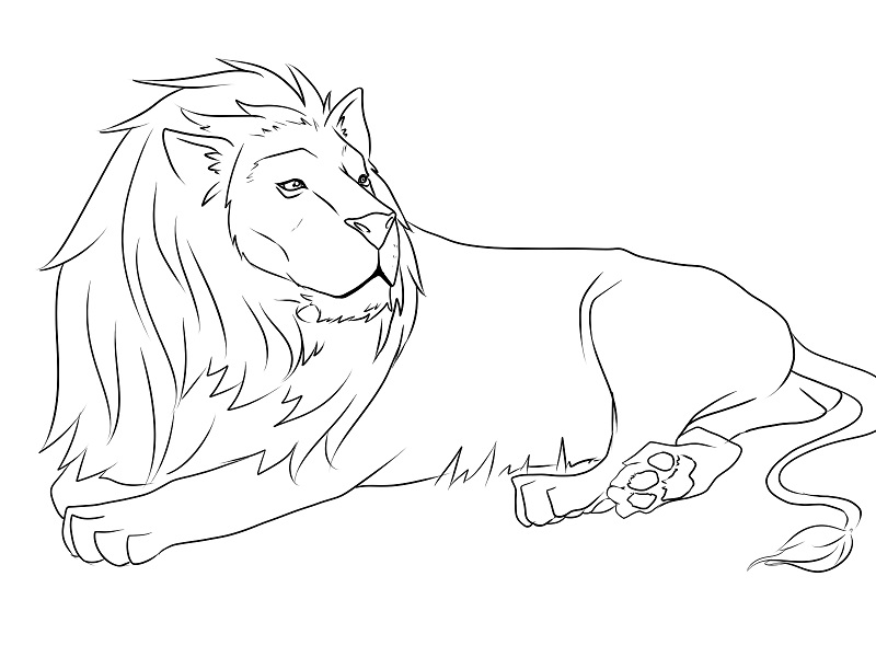 Lion Coloring Pages Printable_