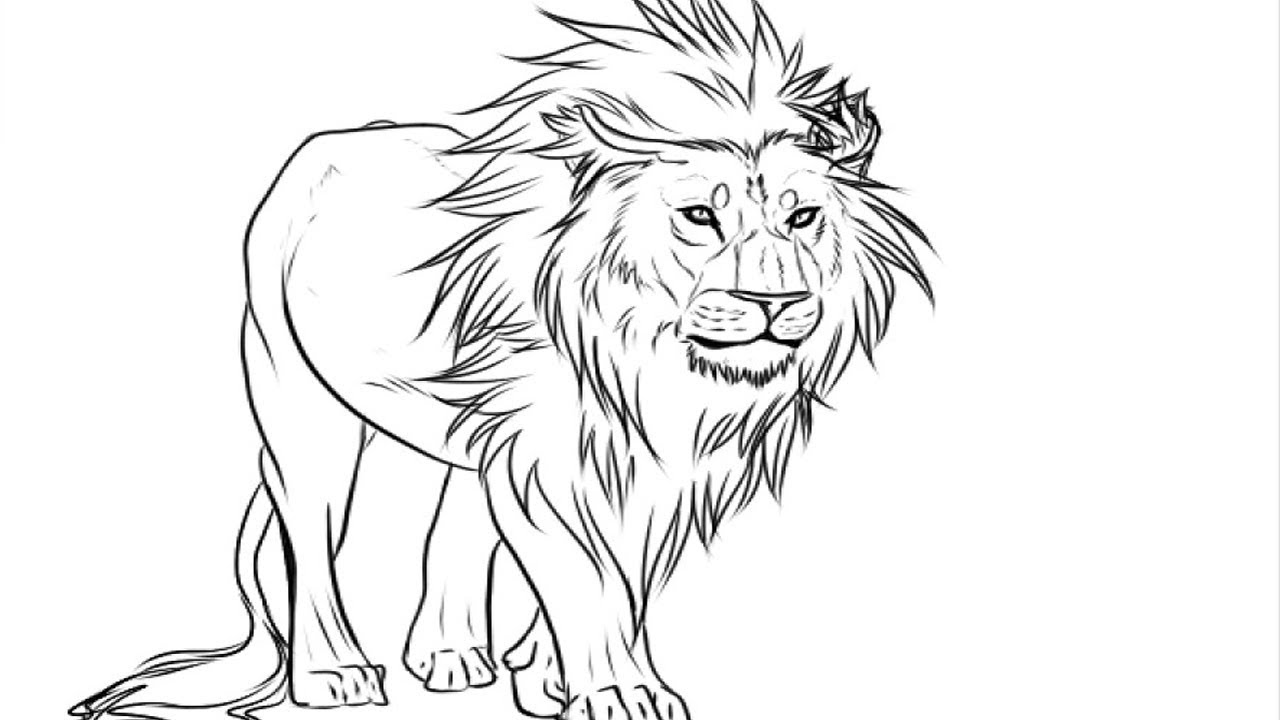 Lion Guard Coloring Pages