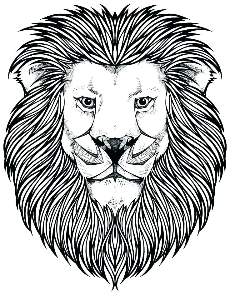 Lion King Coloring Pages