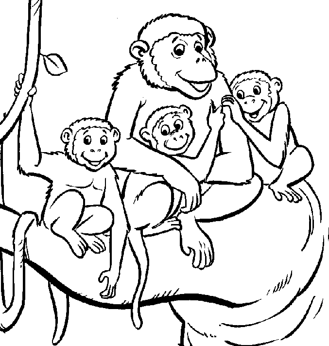 Monkey Coloring Pages Easy