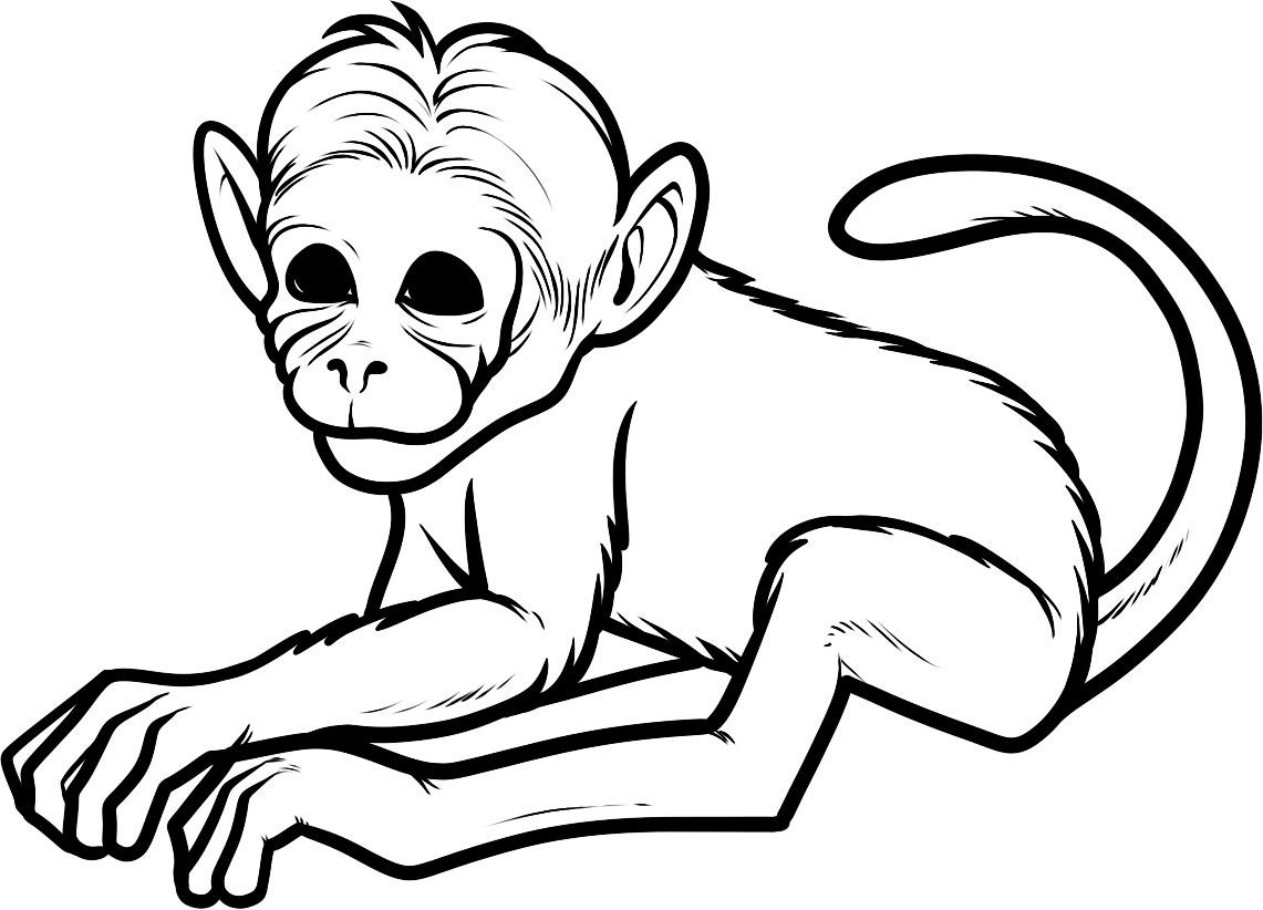 Monkey Coloring Pages For Preschoolers