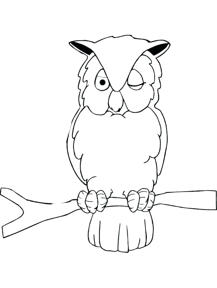 Owl Coloring Page Printable