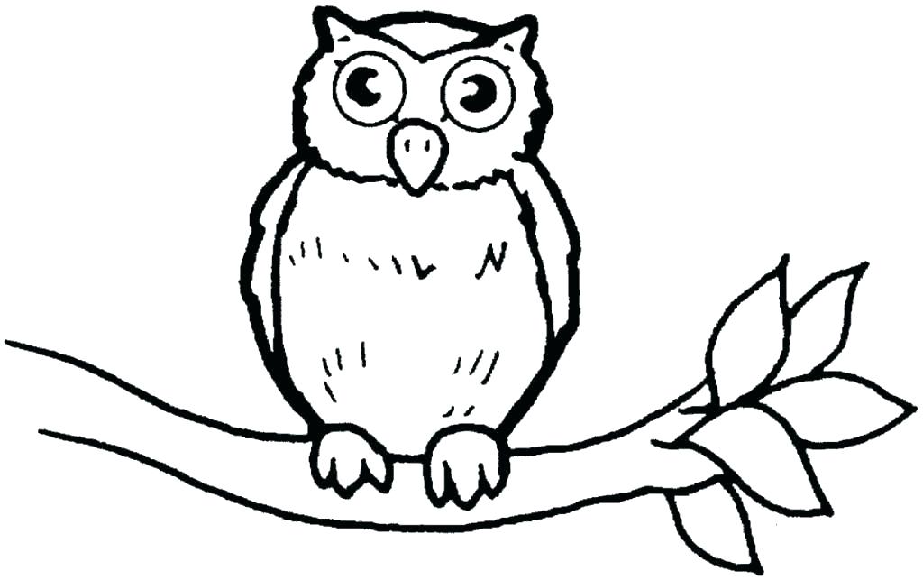 Owl Coloring Pages For Adults Ideas