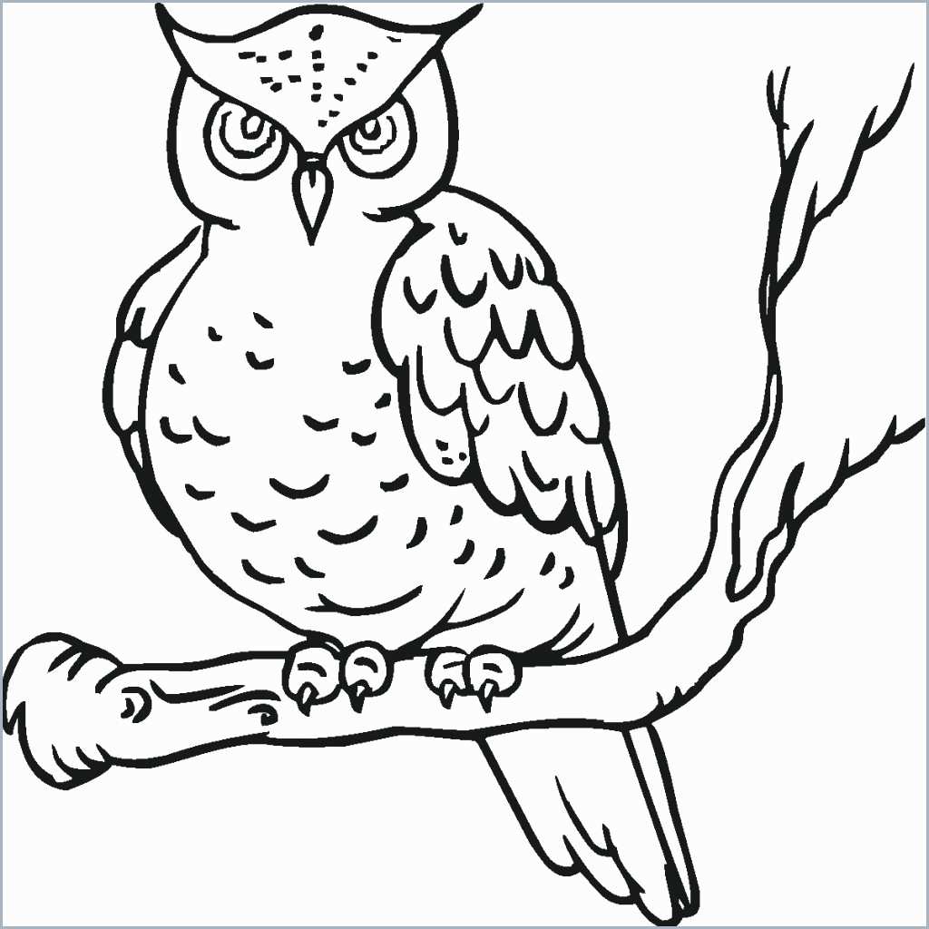 scary coloring pages Prettier Owl Coloring Pages Printable Free ly In The Great Owls 6