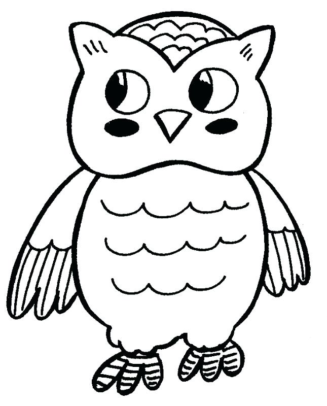 Owl Coloring Pages Free_