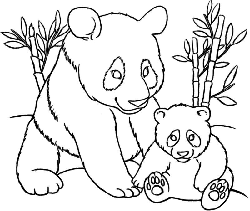 Panda Bear Coloring Pages Printable