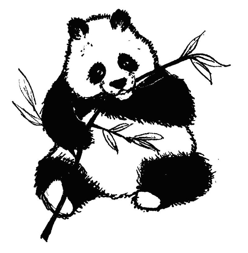 Panda Bear Coloring Pages