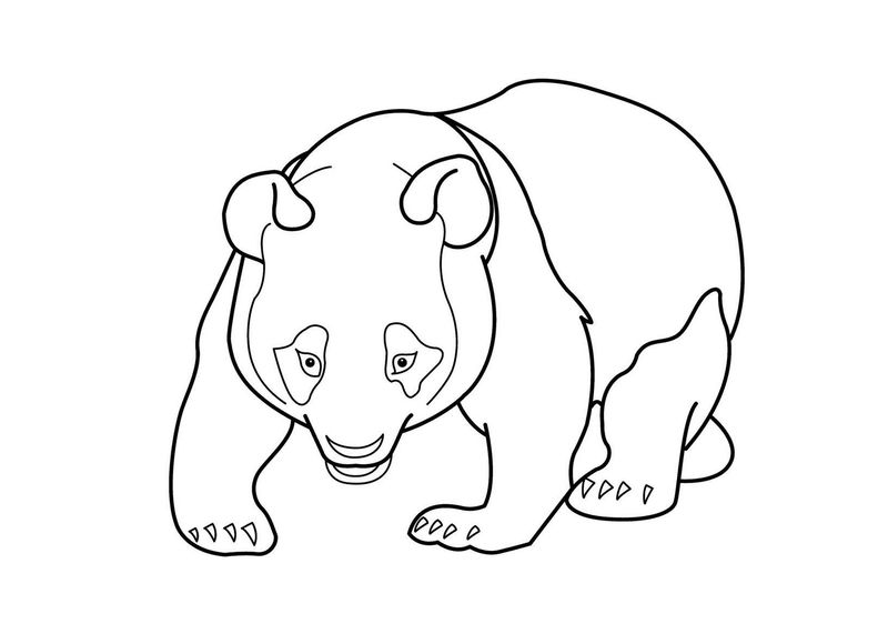 Panda Coloring Pages Pdf