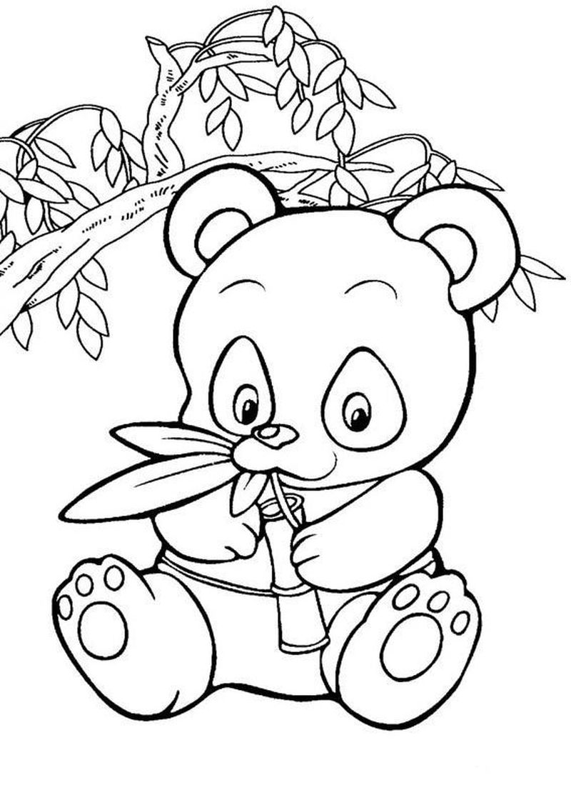 Panda Mandala Coloring Pages