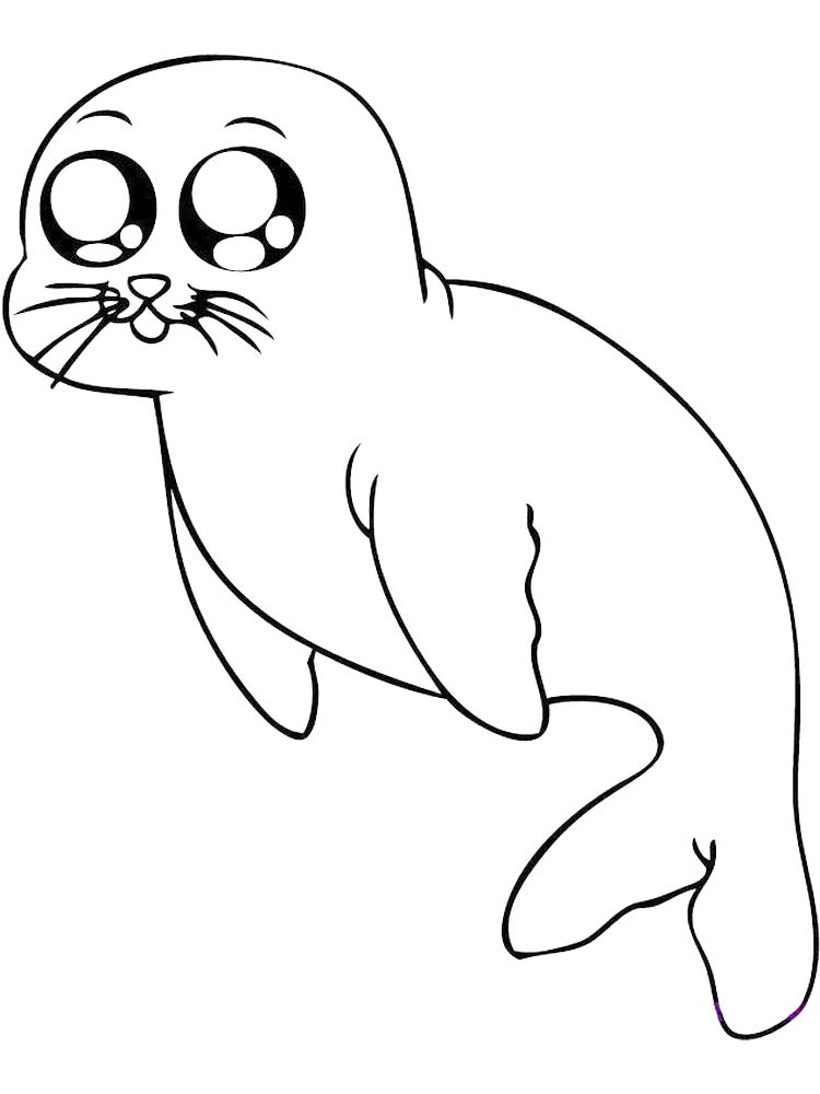 Printable Baby Harp Seal Coloring Pages