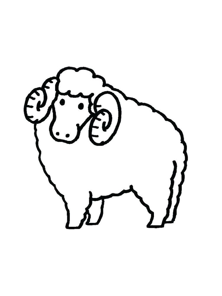 Printable Bighorn Sheep Coloring Pages