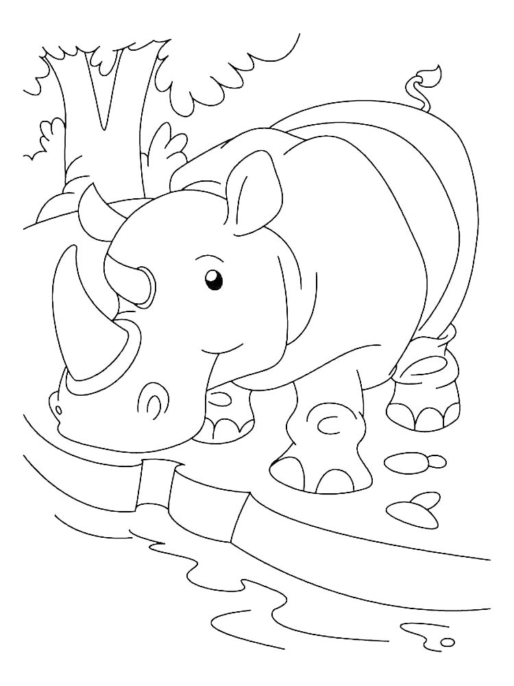 Printable Black Rhino Coloring Pages