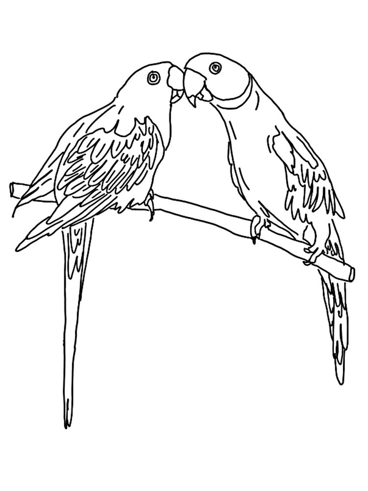 Printable Cartoon Parrot Coloring Pages