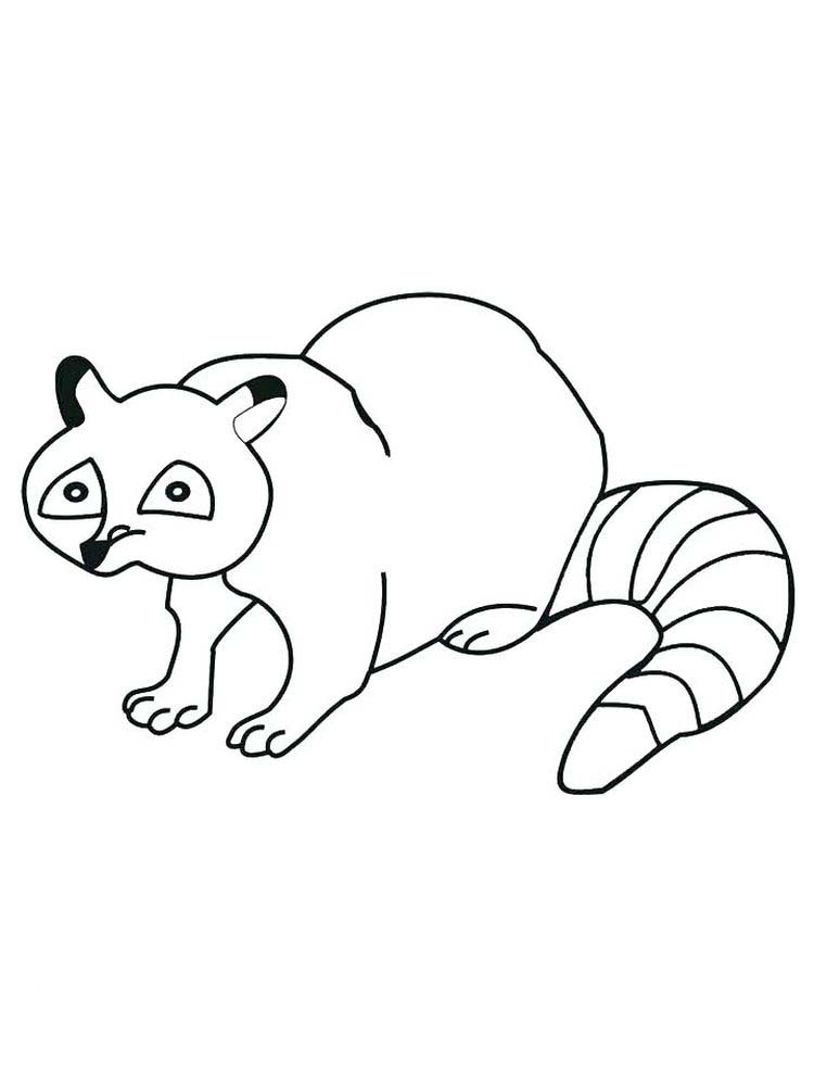 Printable Cartoon Raccoon Coloring Pages