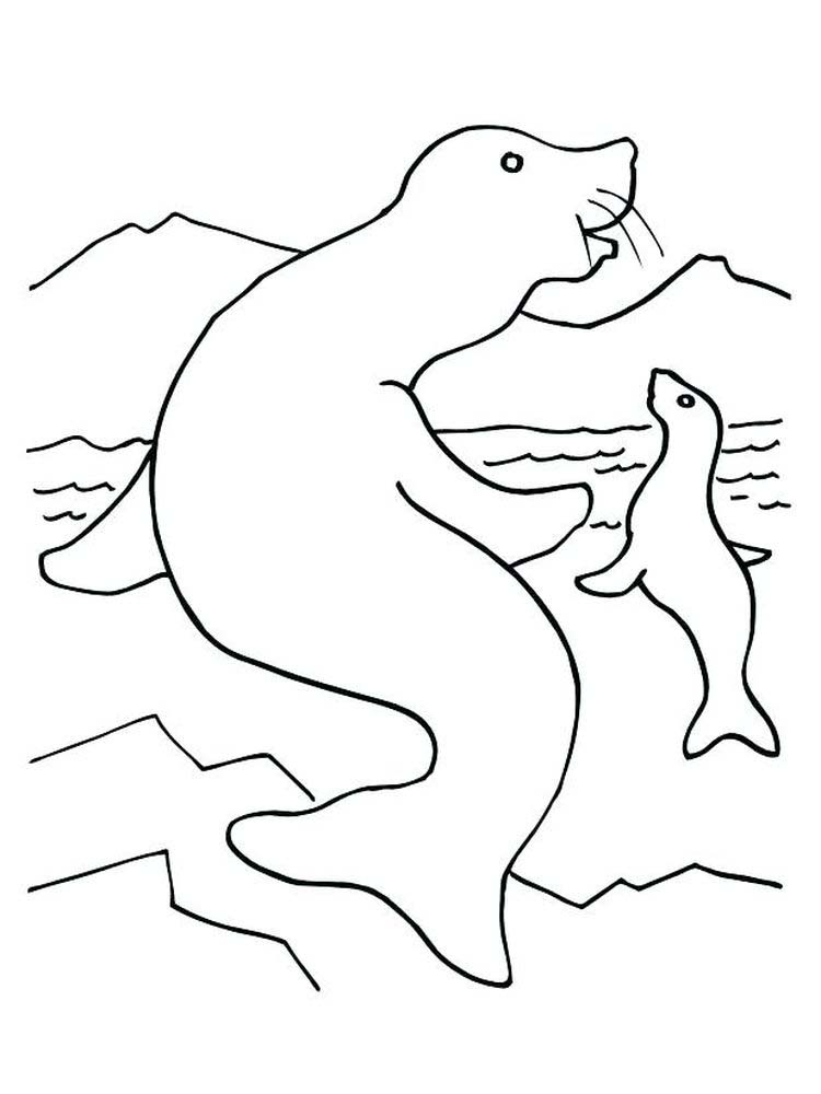 Printable Coloring Book Pages Seal