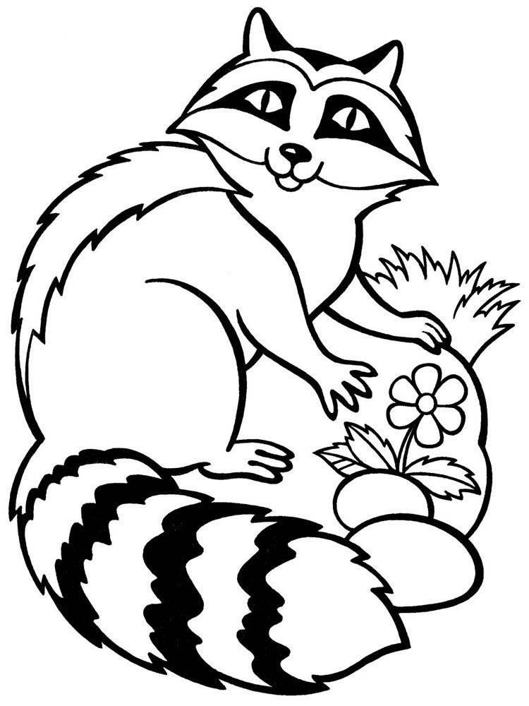 Printable Coloring Page Of A Racoon