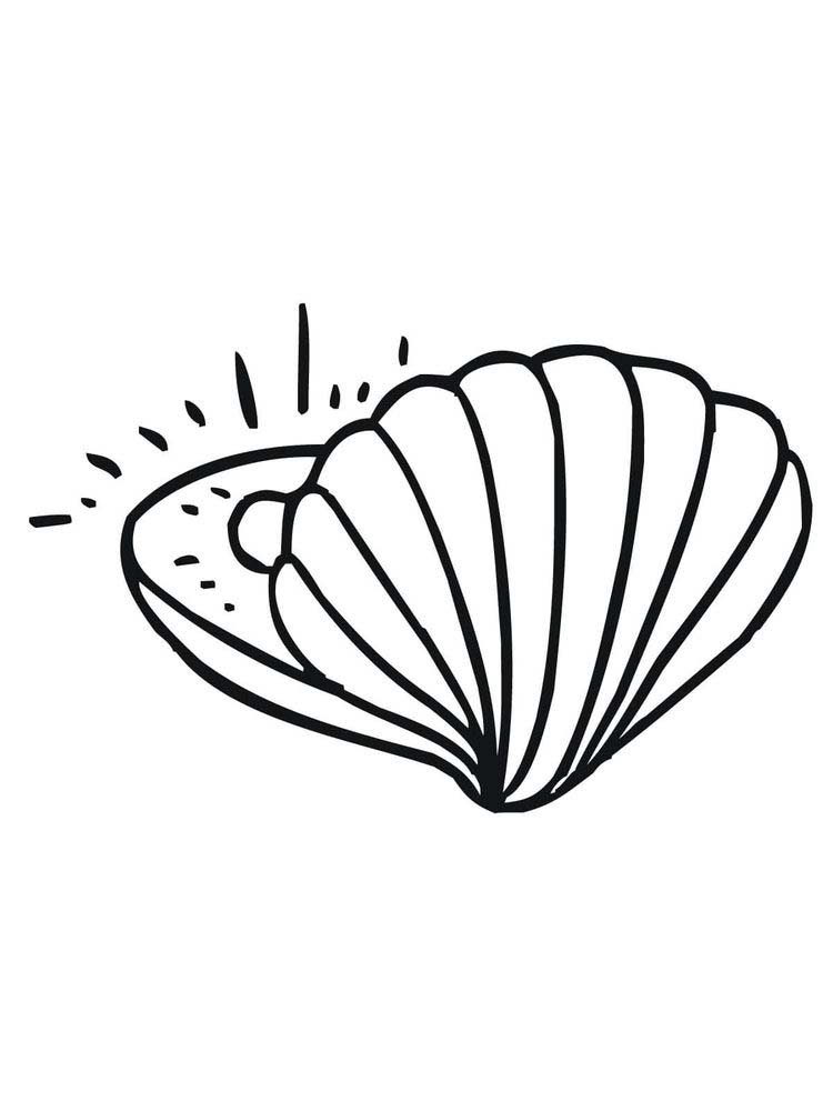 Printable Coloring Page Of A Shell