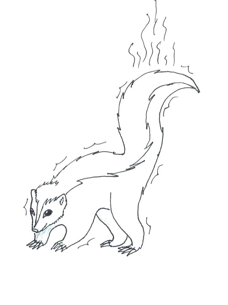 Printable Coloring Page Of A Skunk