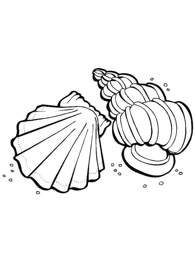 Printable Coloring Page Of Sea Shell