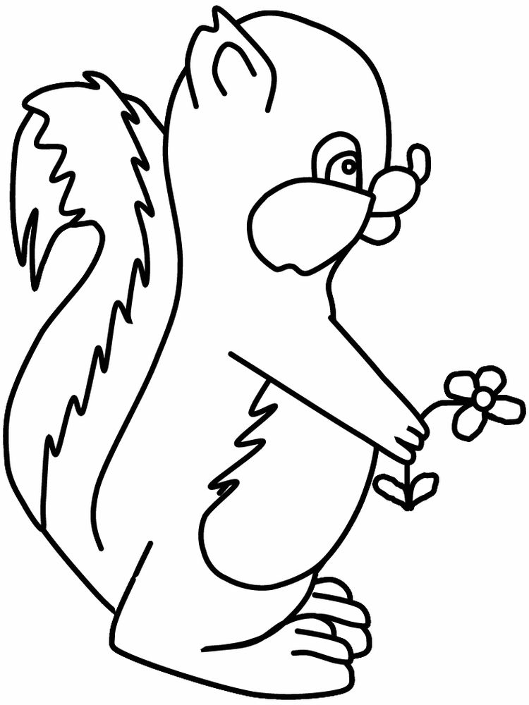 Printable Coloring Page Of Skunk