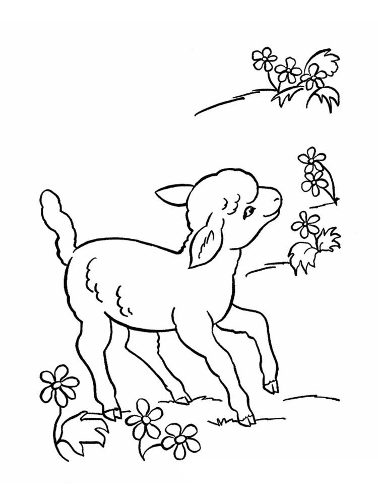 Printable Coloring Pages For The Lost Sheep Parable