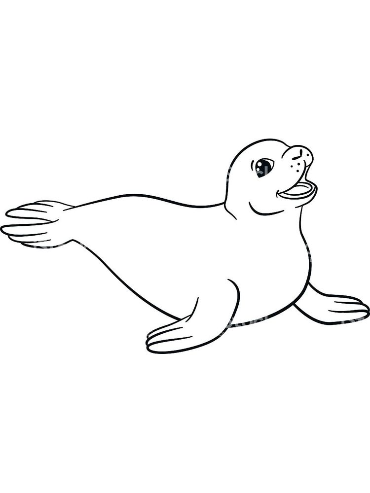 Printable Coloring Pages Of A Seal