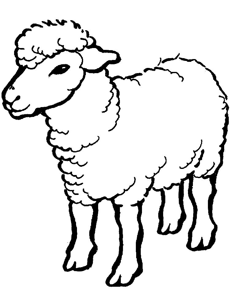 Printable Coloring Pages Of A Sheep